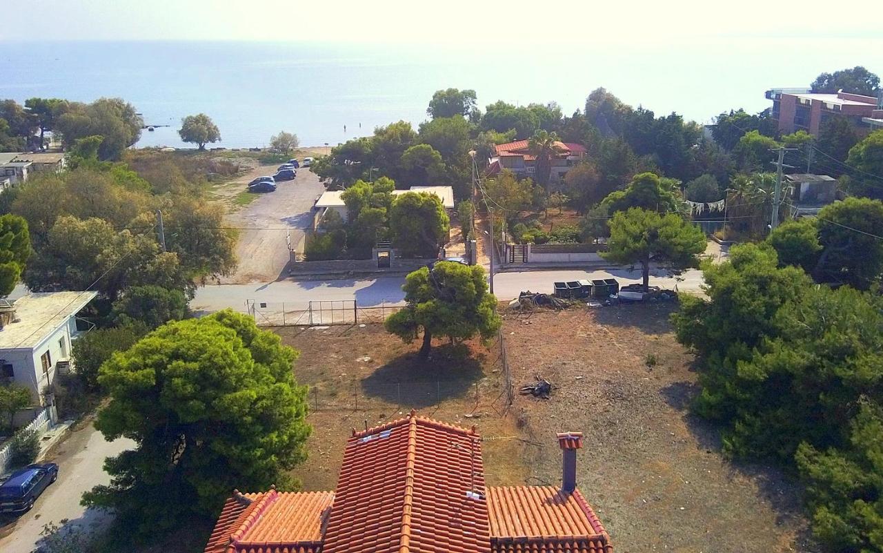 Augoustinos - Sea Side Luxury Apartments Artemida (Attica) Exterior foto